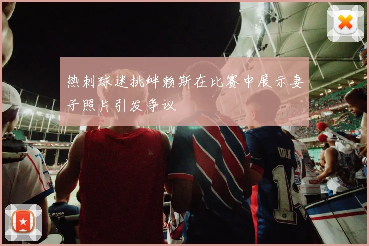 热刺球迷挑衅赖斯在比赛中展示妻子照片引发争议