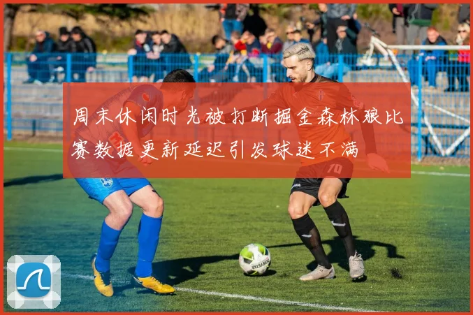 周末休闲时光被打断掘金森林狼比赛数据更新延迟引发球迷不满