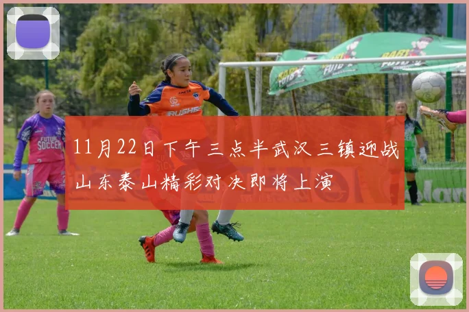 11月22日下午三点半武汉三镇迎战山东泰山精彩对决即将上演