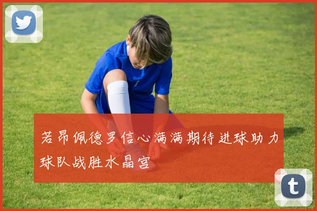 若昂佩德罗信心满满期待进球助力球队战胜水晶宫