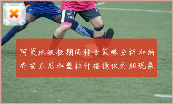 阿莫林执教期间转会策略分析加纳乔安东尼加盟拉什福德仅外租现象探讨